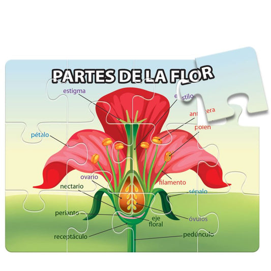 Rompecabezas Partes de la Flor