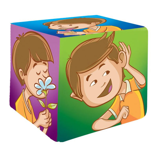Cubo de Sentidos