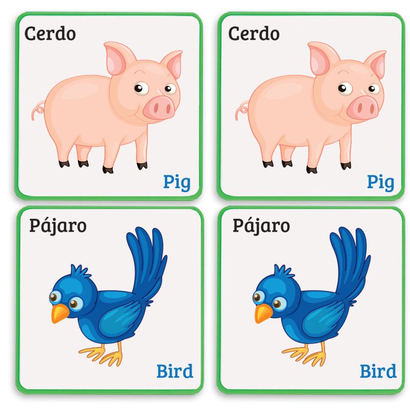 Memoria Inyectado Animales