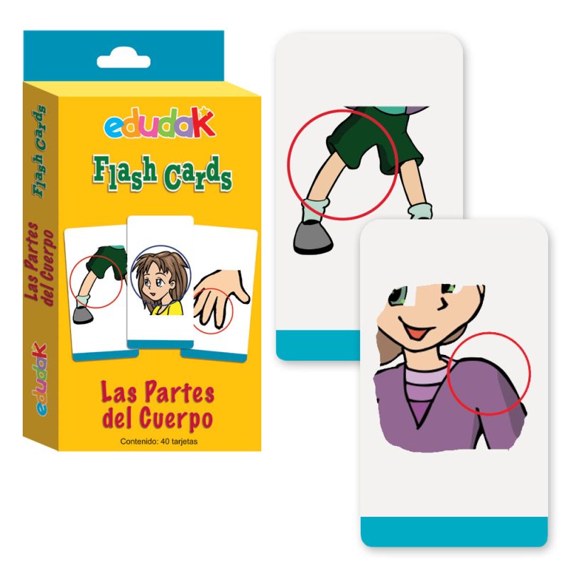 Flash Cards Partes del Cuerpo