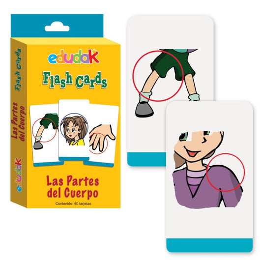 Flash Cards Partes del Cuerpo