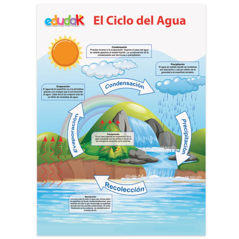 Lámina Didáctica El Ciclo del Agua