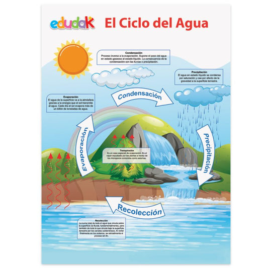 Lámina Didáctica El Ciclo del Agua