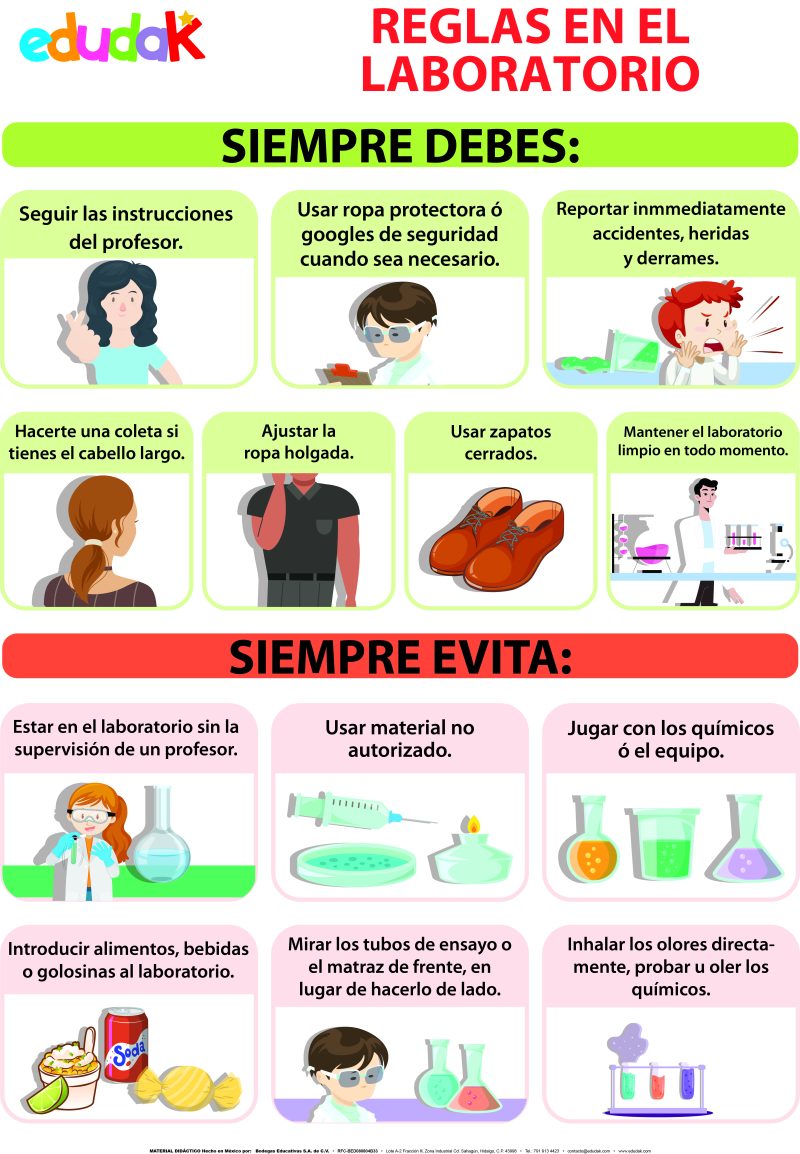 Lámina Didáctica: Reglas En El Laboratorio