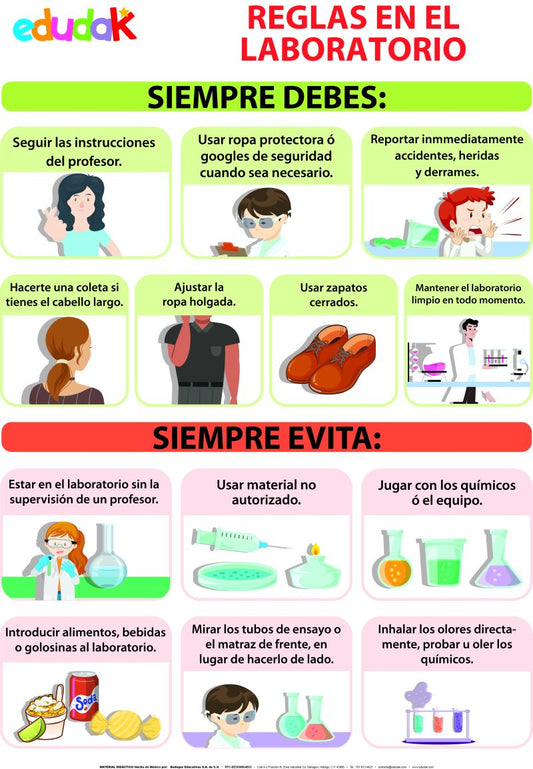 Lámina Didáctica: Reglas En El Laboratorio