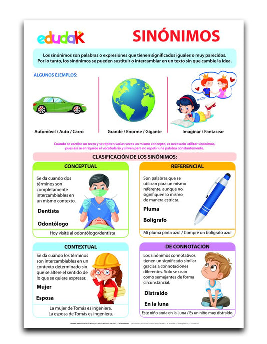Lámina Didáctica: Sinónimos