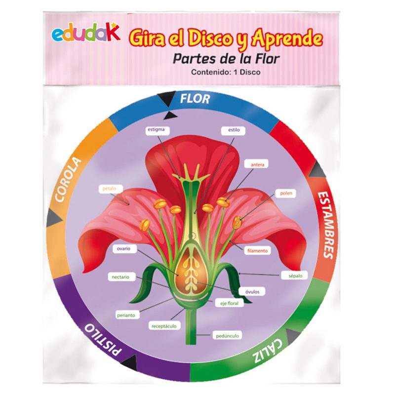 Gira el Disco y Aprende Partes de la Flor