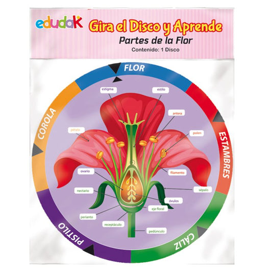 Gira el Disco y Aprende Partes de la Flor