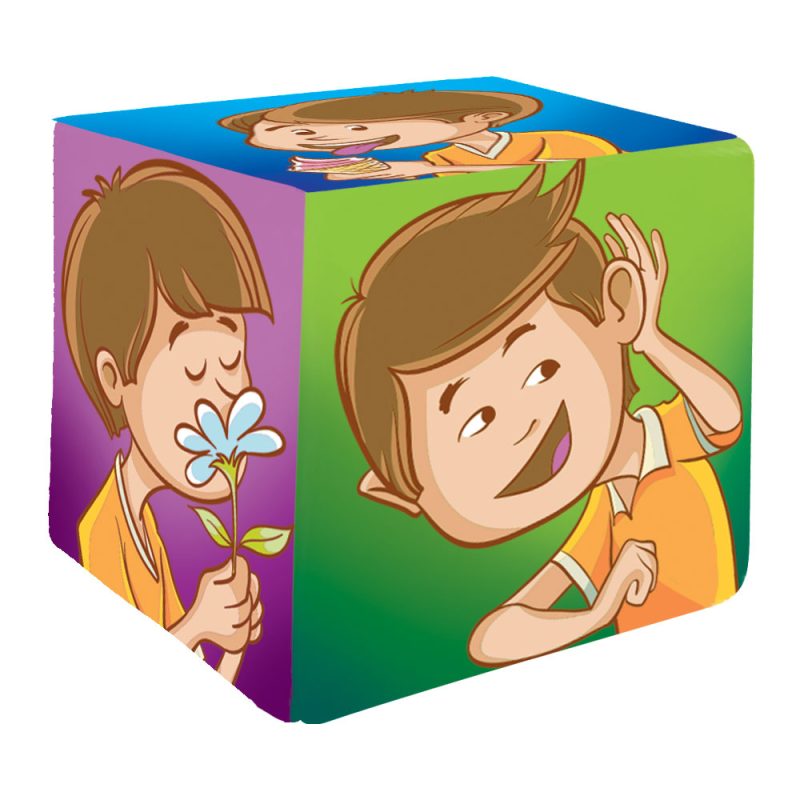 Cubo de Sentidos