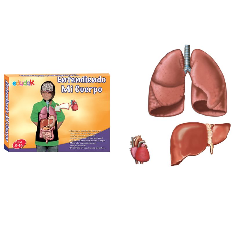 Entendiendo mi Cuerpo